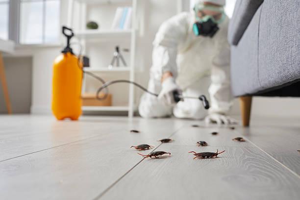 Commercial Kitchen Cockroach Control in Holcomb